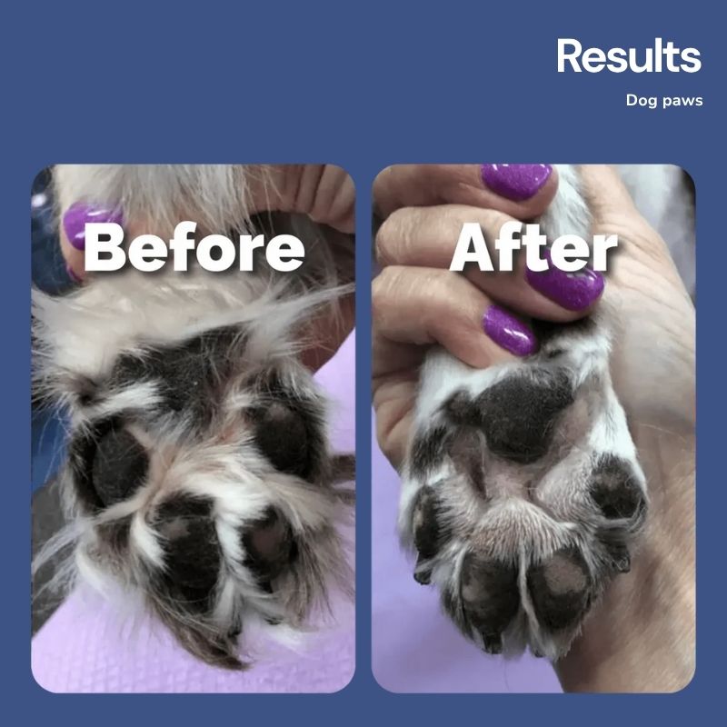 DOG & CAT HAIR SILENT TRIM PRO