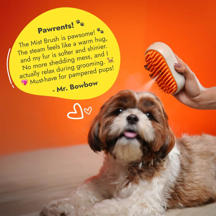 Pet Steamer Brush