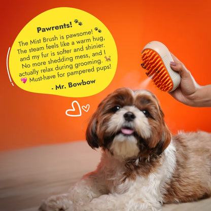 Pet Steamer Brush