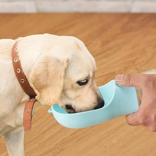 Pet Bowl Cap Water Bottle