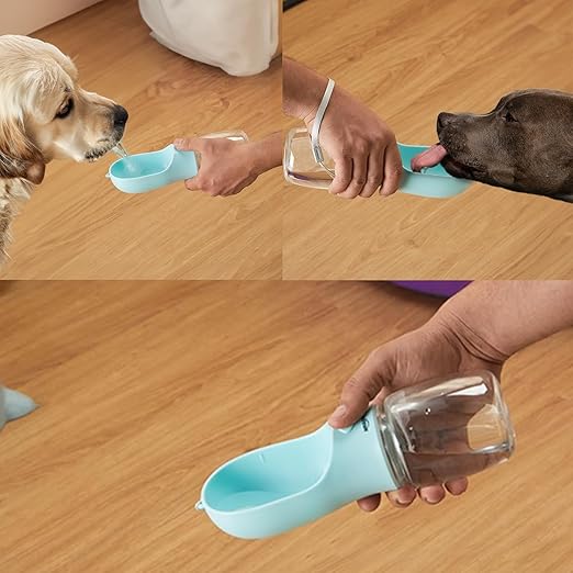 Pet Bowl Cap Water Bottle